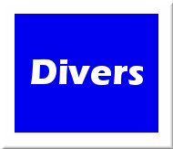 Divers